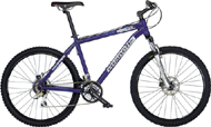 Bianchi Doss 6100
