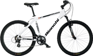 Bianchi Ruck 2800 VB Altus mix V-Brake 24sp