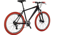 Bianchi Bikemotard Alu Altus Disc