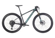 Methanol CV RS 9.2