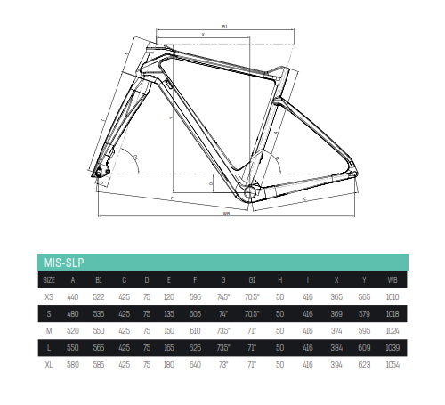 Scheda Geometrie Telaio