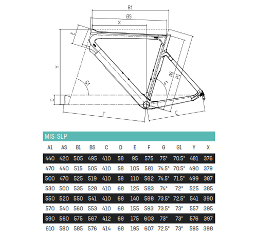 Scheda Geometrie Telaio