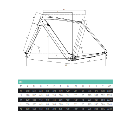 Scheda Geometrie Telaio