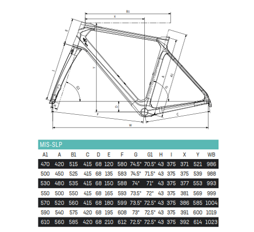 Scheda Geometrie Telaio