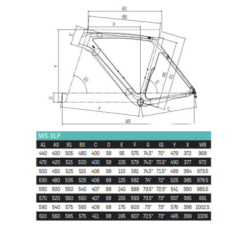 Scheda Geometrie Telaio