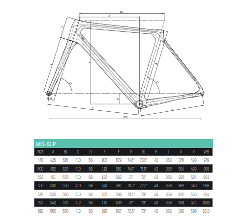 Scheda Geometrie Telaio