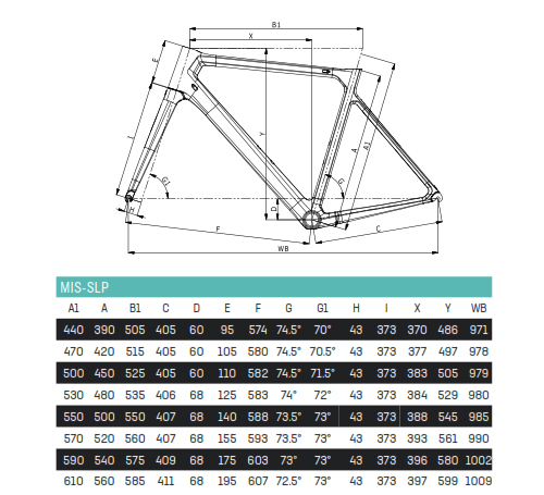 Scheda Geometrie Telaio