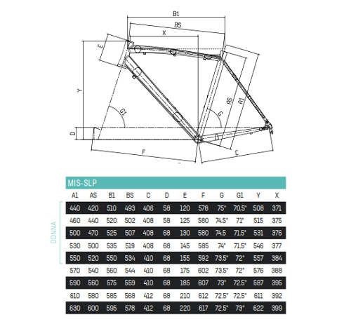 Scheda Geometrie Telaio