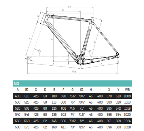 Scheda Geometrie Telaio