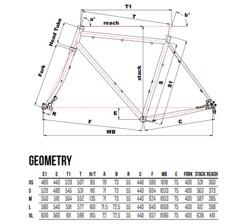 Scheda Geometrie Telaio