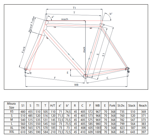 Scheda Geometrie Telaio