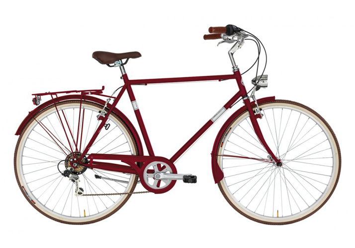Bicicletta Alpina Condor Uomo