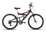 Vicini Mountain Bike