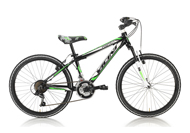 Vicini Mountain Bike